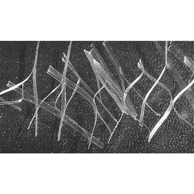 PP Mesh Fiber Waterproof
